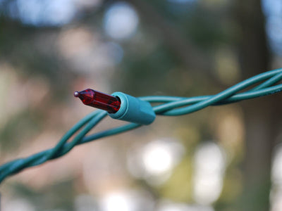 How to Safely Put Outdoor Christmas Lights in Trees