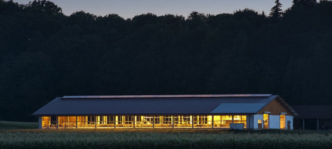 Best Barn Lights for 2023 Best Barn Lights for 2023