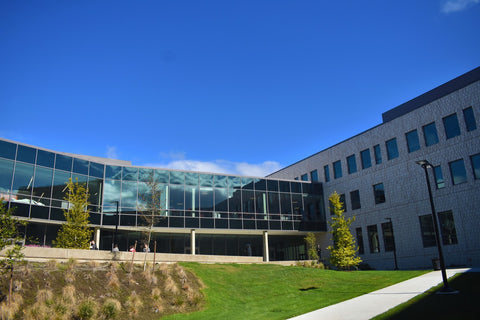 Exterior College Campus Lighting