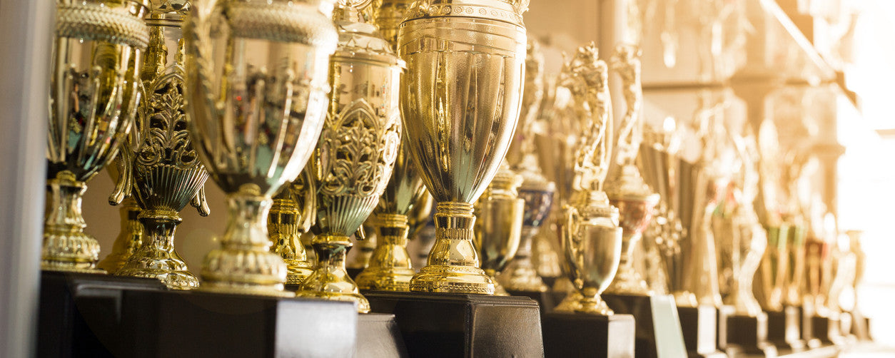 Trophy Travel Cases : FIFA World Cup Trophy Case