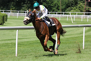 Outdoor Riding Arena Lighting