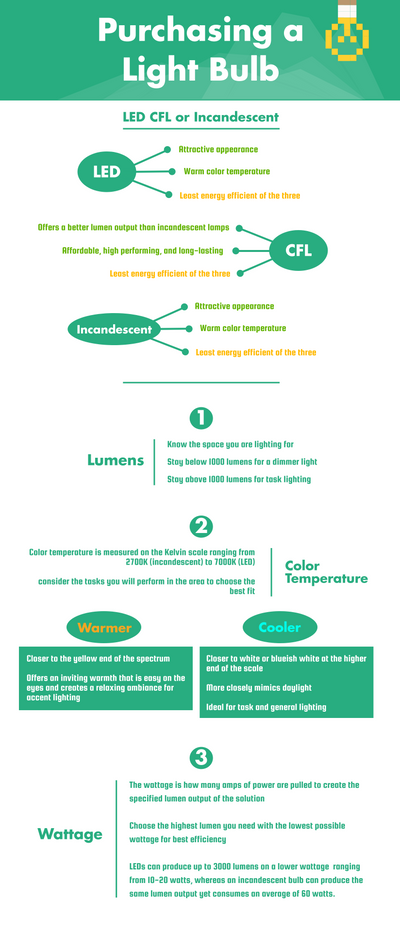 Purchasing a Light Bulb [INFOGRAPHIC]