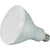 View our Type BR Light Bulbs collection.