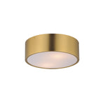 Tommy 12" 2-Light Surface Mount Ceiling Light