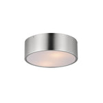 Tommy 12" 2-Light Surface Mount Ceiling Light