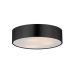 Tommy 16" 3-Light Surface Mount Ceiling Light