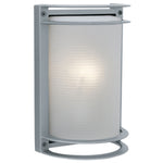 Satin outdoor wall light fixture on a white background