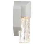 Wall-mounted light fixture with satin casing and clear glass on a white background