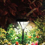 Black premier garden pathway light with translucent fluted glass shade emitting warm white illumination in mere minutes