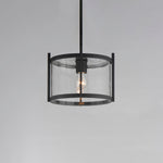 Black pendant light with clear glass shade on a gray background
