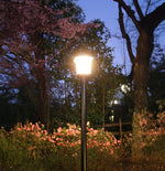 Halo Solar Post Light with 3" Fitter