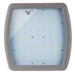 LED Explosion Proof Flood Light, Class 2 Division 1, 13,000 Lumens, 100W, 5000K, 100-277V