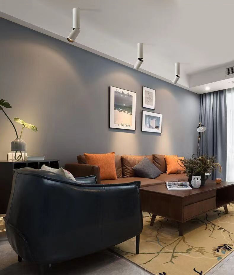 2" LED Adjustable Architectural Cylinder Light Fixture, 1080 Lumens, 12W, CCT Selectable, 120-277V, Black or White Finish