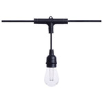 Black starfish led string light with clear glass bulbs plastic housing 24 foot 12 lamps rgbtw 120 volt