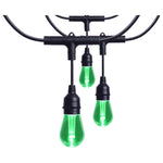 Starfish; 48 Foot LED String Light; 15-S14 Lamps; IOT; RGBTW; Black; 120 Volt