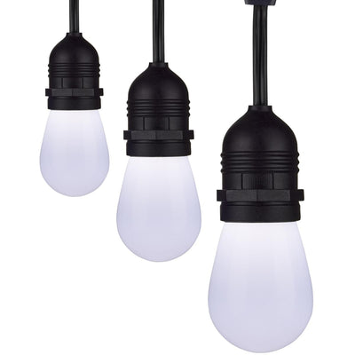 24Ft; 12-S14 Lamp; LED String Light; Starfish IOT; Tunable White