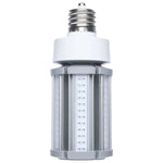 LED corn light bulb on a white background