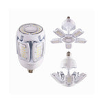 Set of LED light bulbs with different designs on a white background