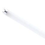 White fluorescent light bulb on a white background