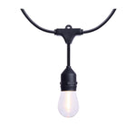 Black led string light with clear glass bulbs black plastic fixtures 24 foot 12 lamp 2700k cct 120 volt