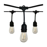 24FT LED String Light; Includes 12-Light Filament LED bulbs With Plug, 12W, 2700K, 120V