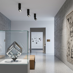A sleek adjustable architectural cylinder light fixture with reflective metallic finish displayed in a glass case