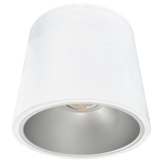 12" x 14" LED Cylinder Light, 12,500 Lumen Max, Wattage and CCT Selectable, 120-277V, Black, White or Silver Finish