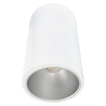 12" x 20" LED Cylinder Light, 12,500 Lumen Max, Wattage and CCT Selectable, 120-277V, Black, White or Silver Finish