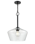 Tulip Pendant Light, Clear Glass, Morbelle Collection