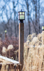 Coldwater 1-Light Outdoor Pole/Post Lantern