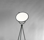 Paddle LED Floor Lamp E23299-BK