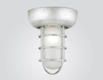Hi-Lite Self-Ballasted Saucer Vapor Tight Jar Flush Mount - Galvanized/Large (shown with frosted glass)