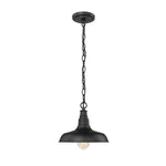 Millennium Lighting 1 Light Outdoor Hanging Lantern (Available Powder Coat Black)