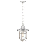 Millennium Lighting 1 Light Outdoor Hanging Lantern, Galvanized