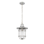 Millennium Lighting 1 Light Outdoor Hanging Lantern, Galvanized