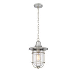 Millennium Lighting 1 Light Outdoor Hanging Lantern, Galvanized
