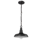 Millennium Lighting 1 Light Outdoor Hanging Lantern (Available Powder Coat Black)
