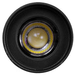 LED X-Gen Bullet Flood Light with Integrated Photocell, 3W/6W/12W Selectable, 12V, CCT Selectable 3000K/4000K/5000K, Dark Bronze or Black Finish