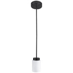 LED 4" Glass Pendant With 6FT Adjustable Rod Pendant Light, 12W, 720LM, 120V, CCT Selectable 2700K/3000K/35000K/4000K/5000K, Black or Brushed Nickel Finish