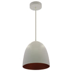 LED 12" Pan Pendant With 6FT Adjustable Rod Pendant Light, 24W, 820LM, 120V, CCT Selectable 2700K/3000K/35000K/4000K/5000K, White Gold or Black Gold Finish