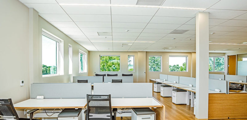 Long linear LED runs crossing a T-grid ceiling above workstations in an open corporate office