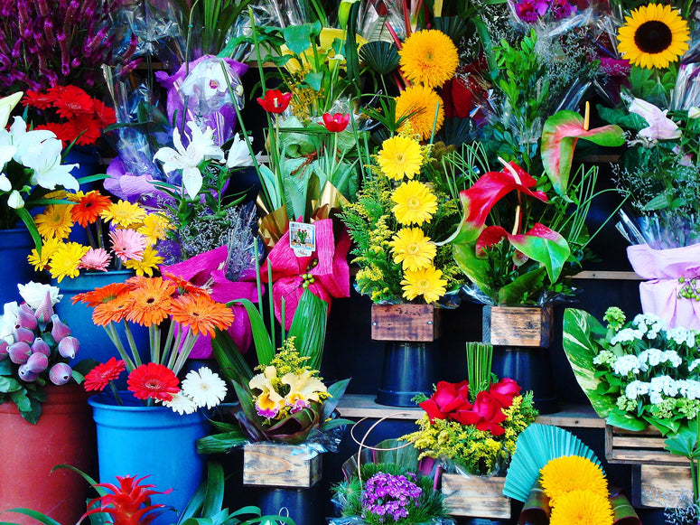 Flower Shop Lighting