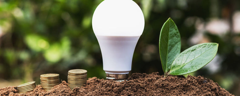 LED light bulb and money in dirt