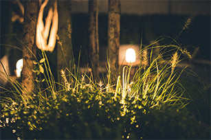 Garden Lighting