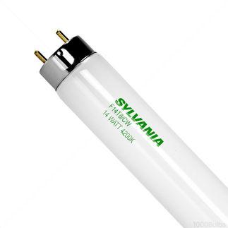 View our T8 Fluorescent Bulbs collection.