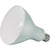 View our Type BR Light Bulbs collection.