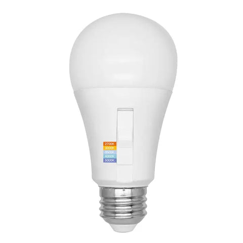 View our Light Bulbs collection