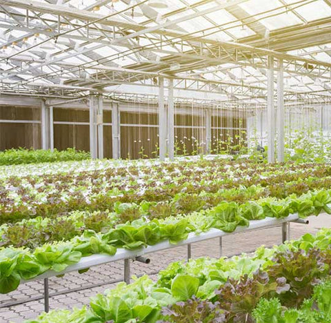 View Commercial Greenhouse Lighting Fixtures