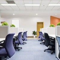 Commercial Office Lighting