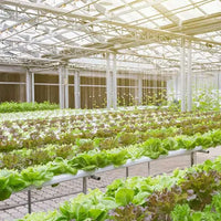 View Commercial Greenhouse Lighting Fixtures